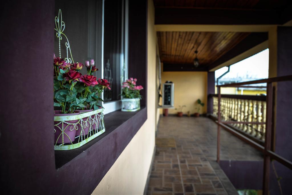 Collosal Apartment With Garden Бухарест Экстерьер фото