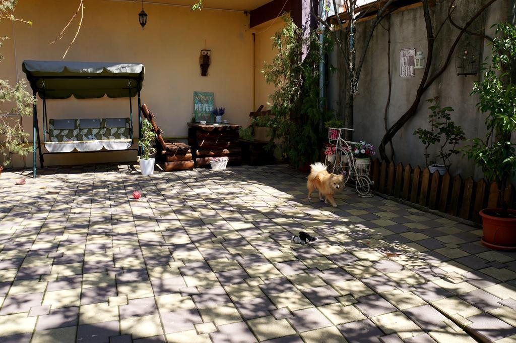 Collosal Apartment With Garden Бухарест Экстерьер фото