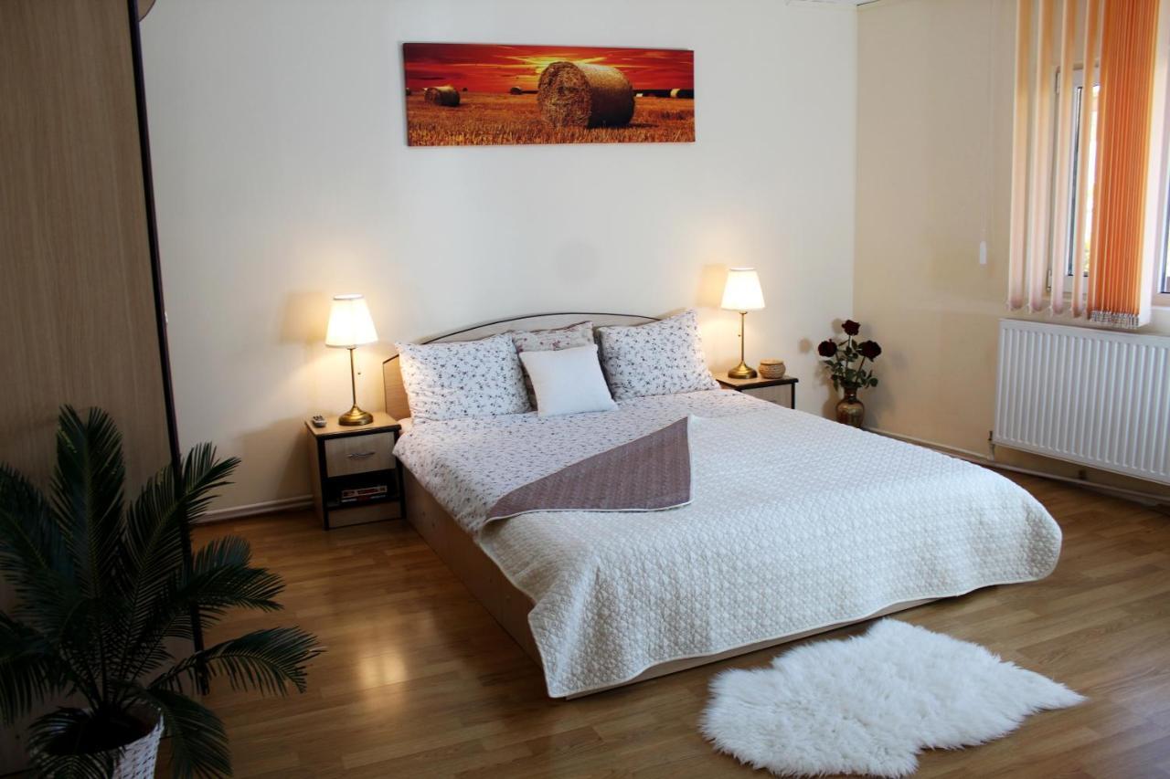 Collosal Apartment With Garden Бухарест Экстерьер фото