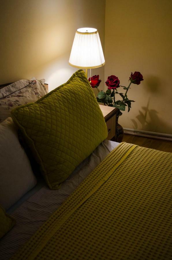 Collosal Apartment With Garden Бухарест Экстерьер фото