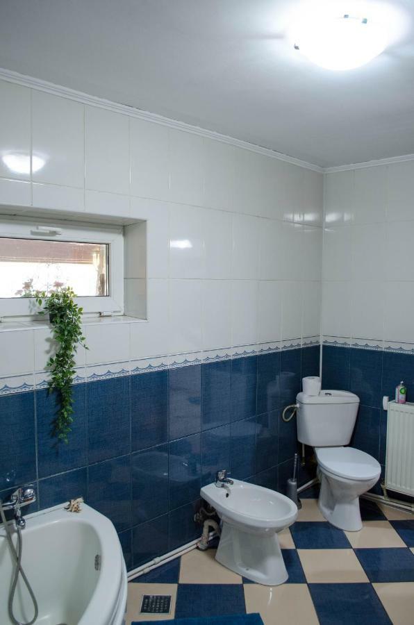 Collosal Apartment With Garden Бухарест Экстерьер фото