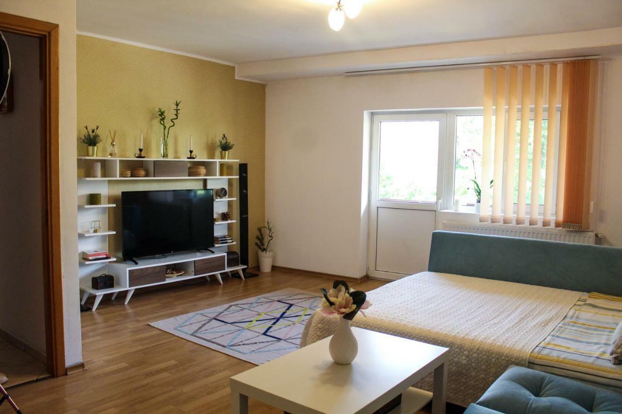Collosal Apartment With Garden Бухарест Экстерьер фото